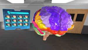 Anatomy VR Brain Module