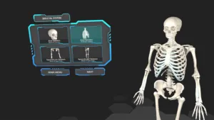 Anatomy Musculoskeletal System Module