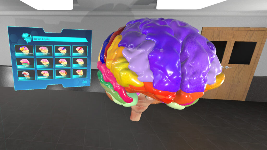 Anatomi VR Beyin Modülü