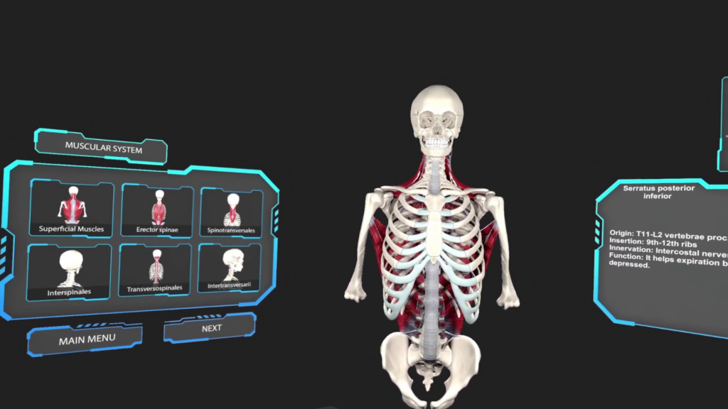 Anatomy Musculoskeletal System Module