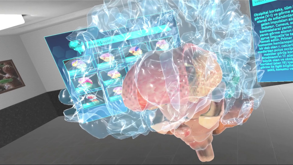 Anatomi VR Beyin Modülü
