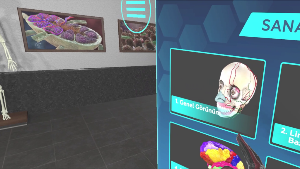 Anatomi VR Beyin Modülü