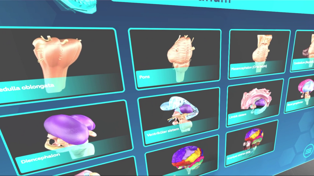Anatomi VR Beyin Modülü