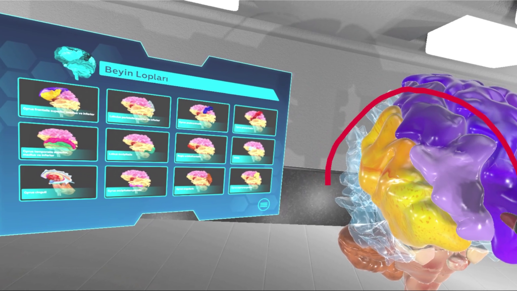 Anatomi VR Beyin Modülü