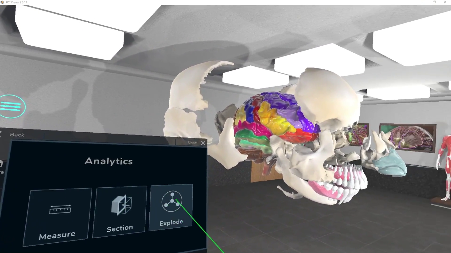 Anatomy VR Brain Module